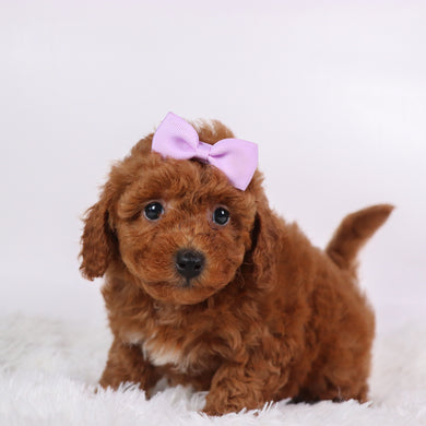 Marsha - Available 10/7