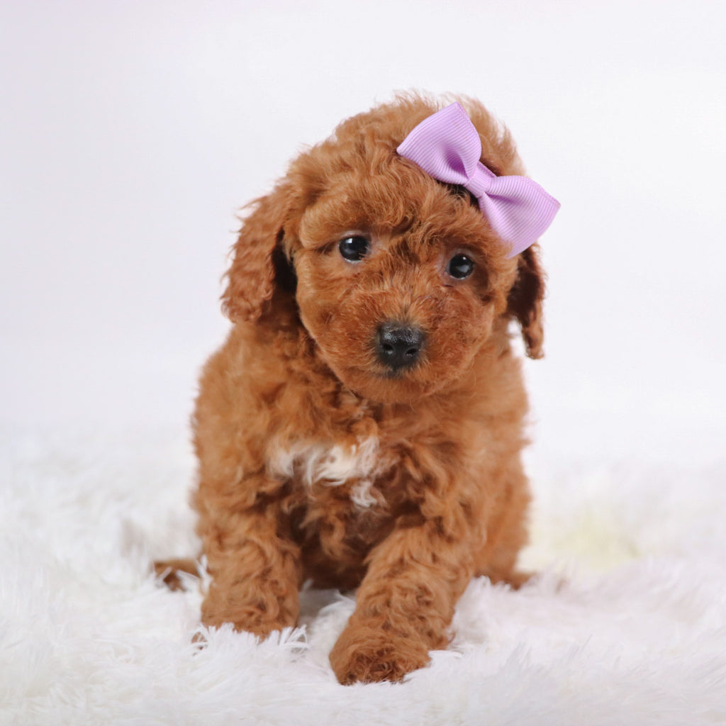Marsha - Available 10/7