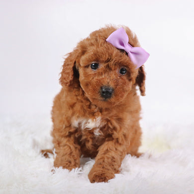 Marsha - Available 10/7