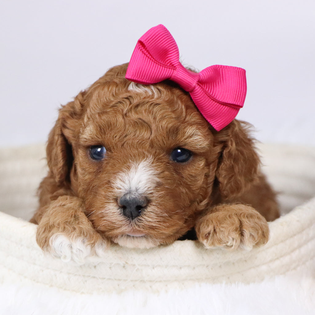 Mildred - Available Now