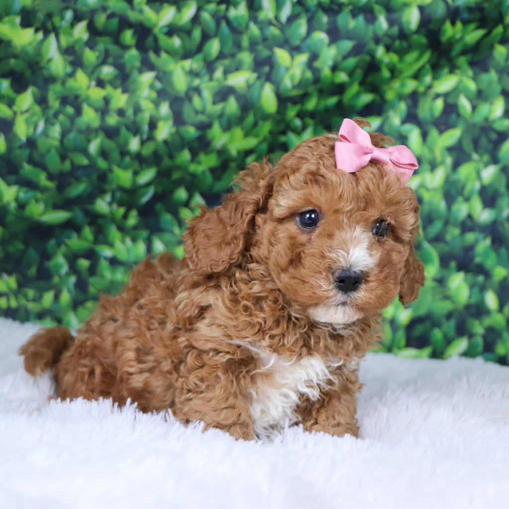 Mildred - Available Now