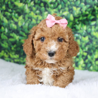 Mildred - Available Now