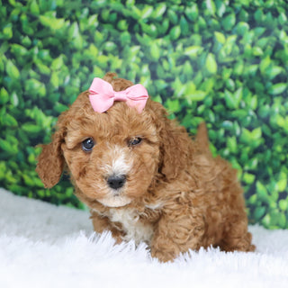 Mildred - Available Now