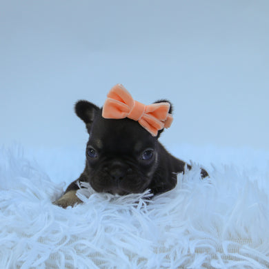 Ruth - Available 9/10