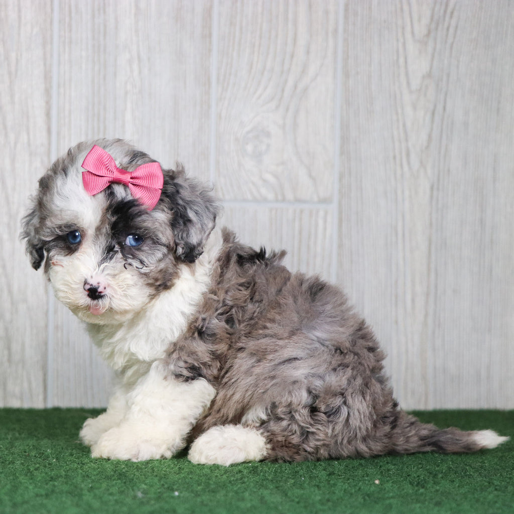 Sparkles - Available 5/14