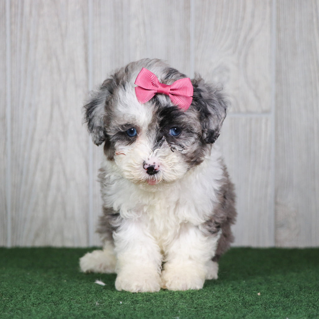 Sparkles - Available 5/14