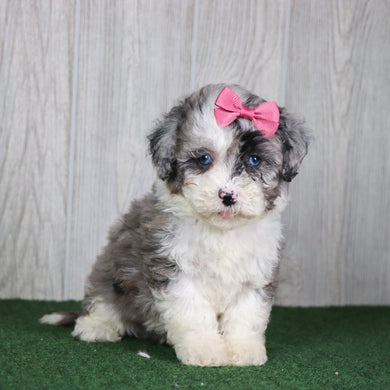 Sparkles - Available 5/14