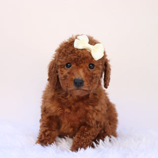 Stormy - Available 9/24
