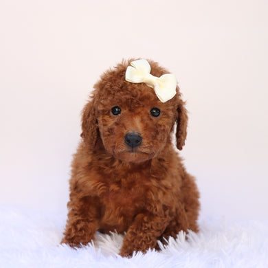 Stormy - Available 9/24