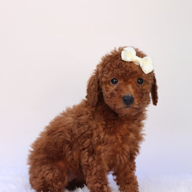 Stormy - Available 9/24
