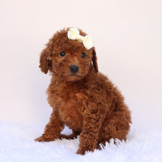 Stormy - Available 9/24
