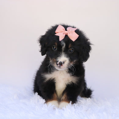 Thea - Available 9/24