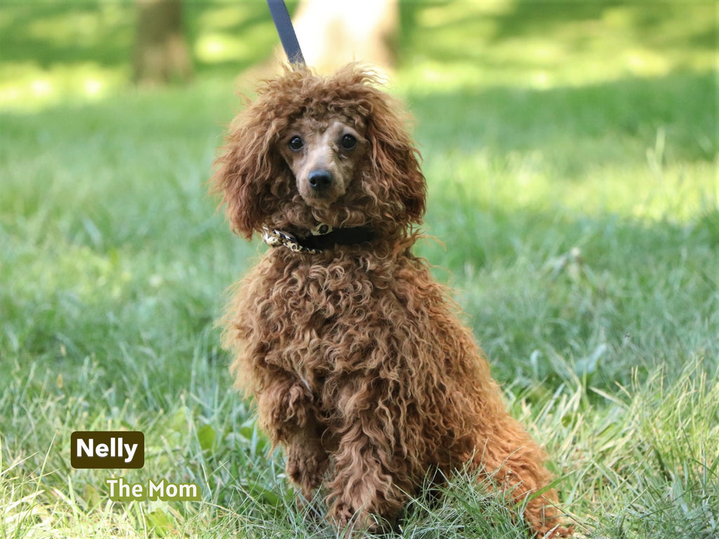 Abbie - Available 1/7