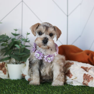 Kendra - Available 2/18