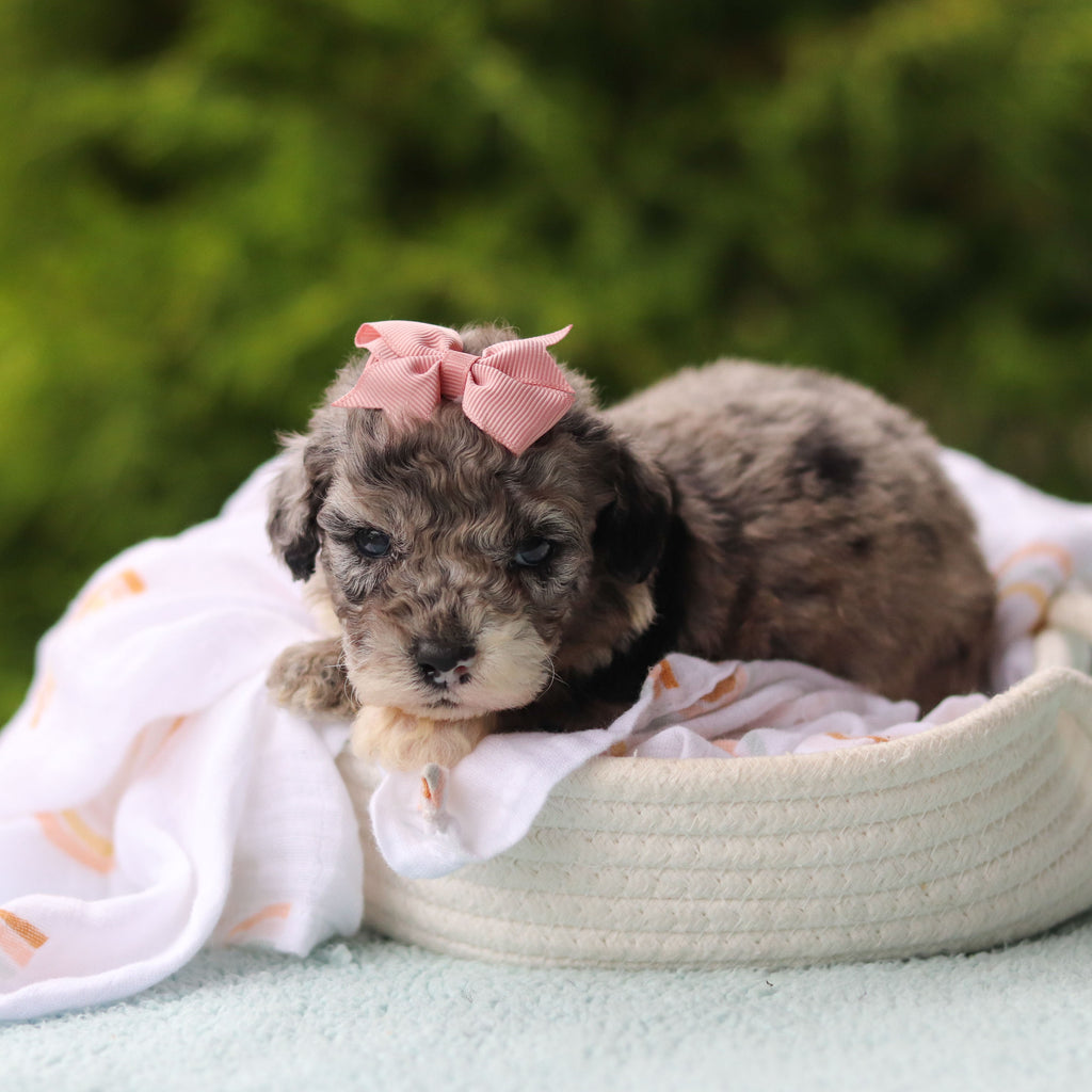 Jodie - Available 10/29