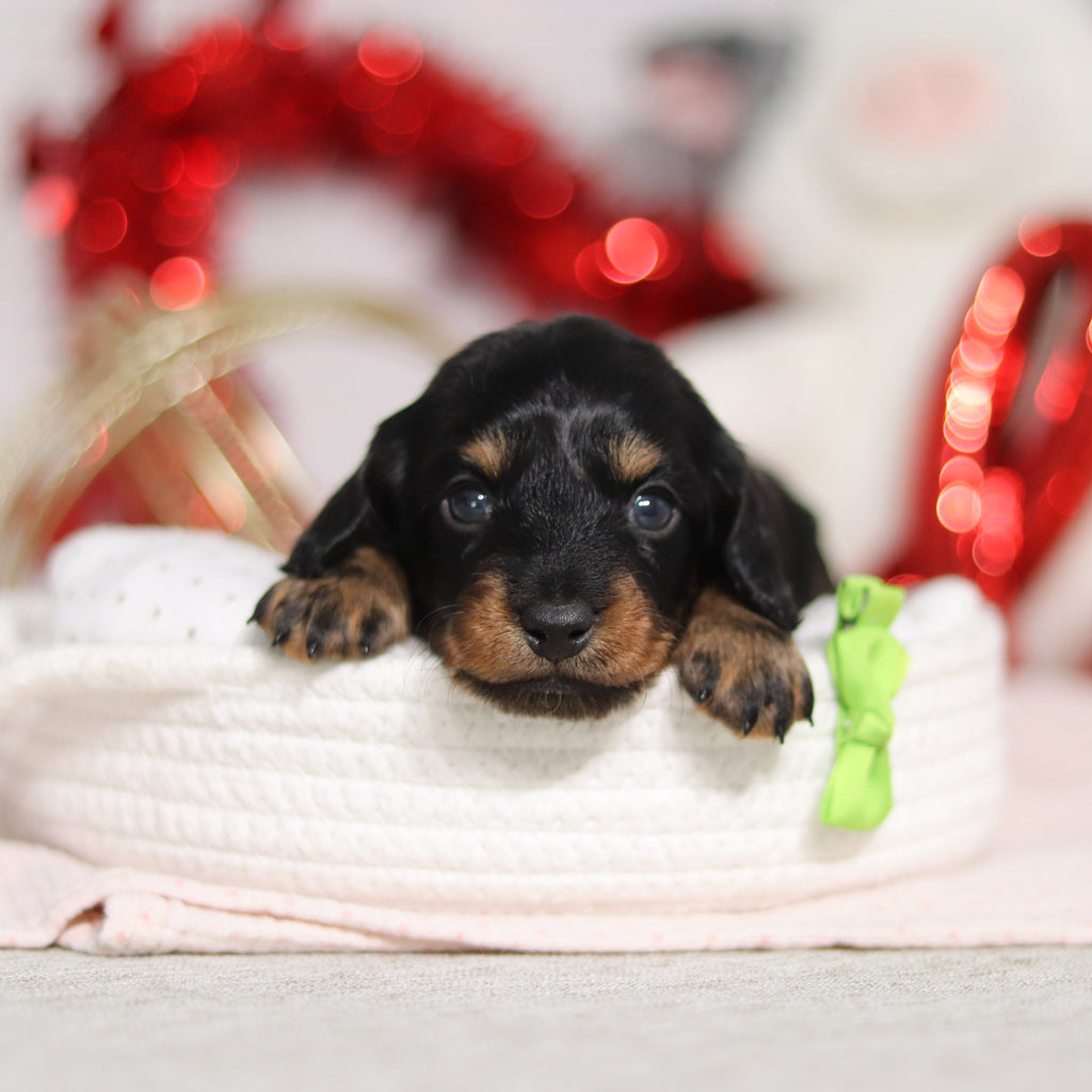 Oakley - Available 3/5