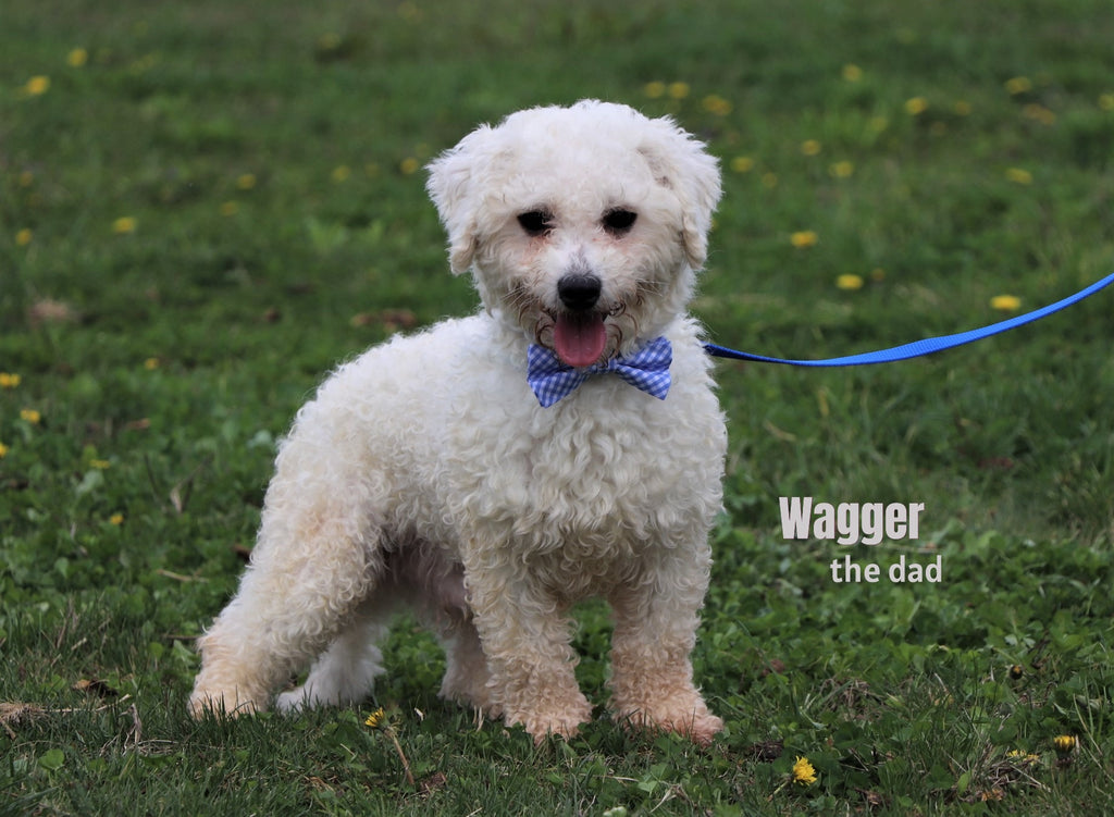 Angelina - Available 1/8