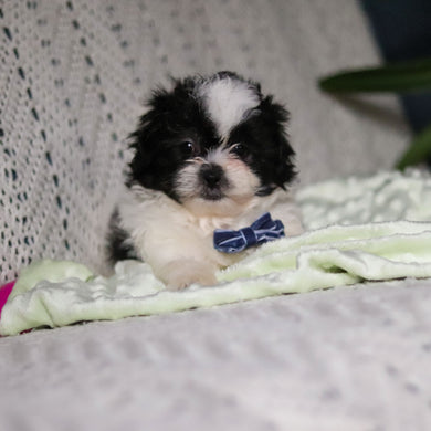 Titan - Available 4/9