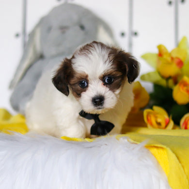 Ryder - Available 4/23