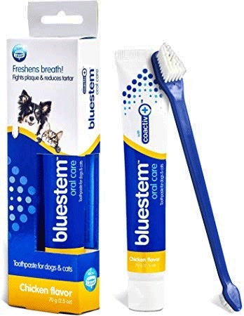 Tooth Brush & Tooth Paste Set