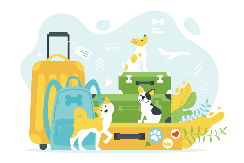 Puppy Nanny Ground Or Air Travel Package